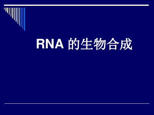 RNA合成