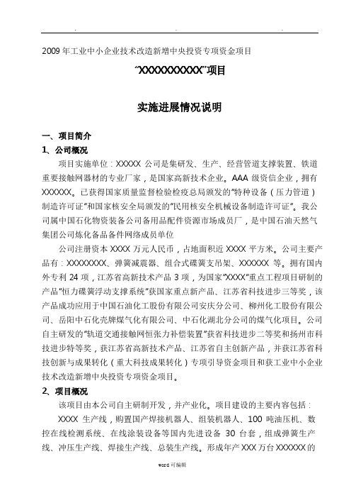 某项目实施进展情况说明