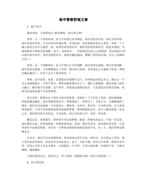高中青春哲理文章