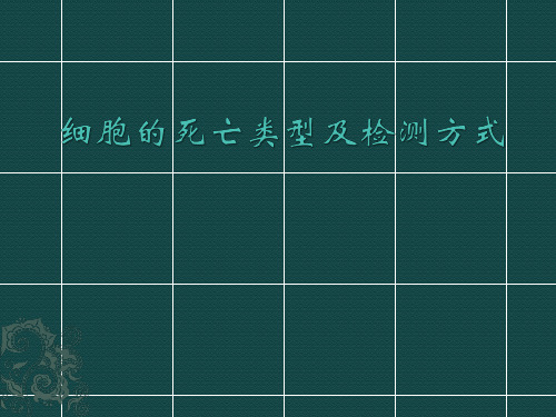 细胞死亡的类型