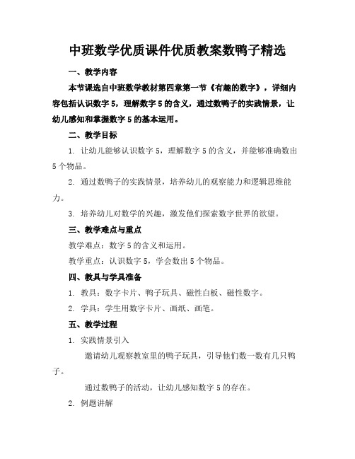 中班数学优质课件优质教案数鸭子精选