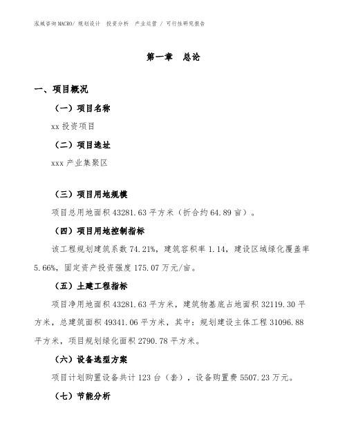 输送机投资项目可行性研究报告(模板)