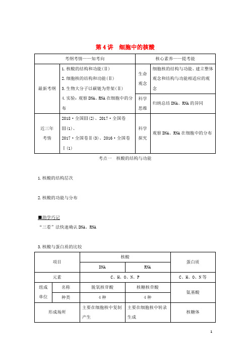 高考生物第二单元细胞的自我保障第4讲细胞中的核酸学案中图版必修1