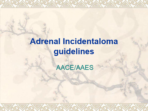 肾上腺意外瘤指南AdrenalIncidentalomaguidelines