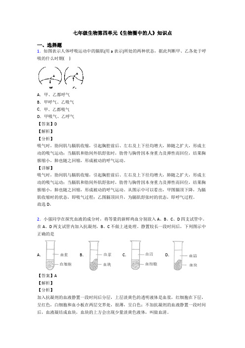 七年级生物第四单元《生物圈中的人》知识点