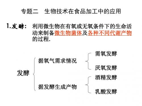 选修1-专题二生物技术在食品加工中的应用一轮复习