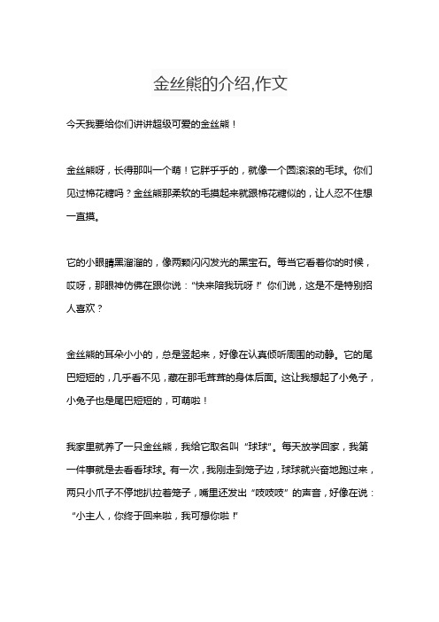金丝熊的介绍,作文