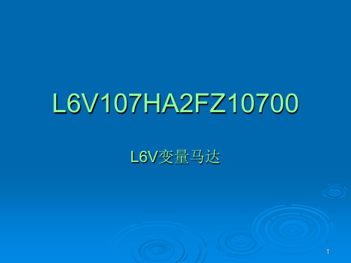 变量马达