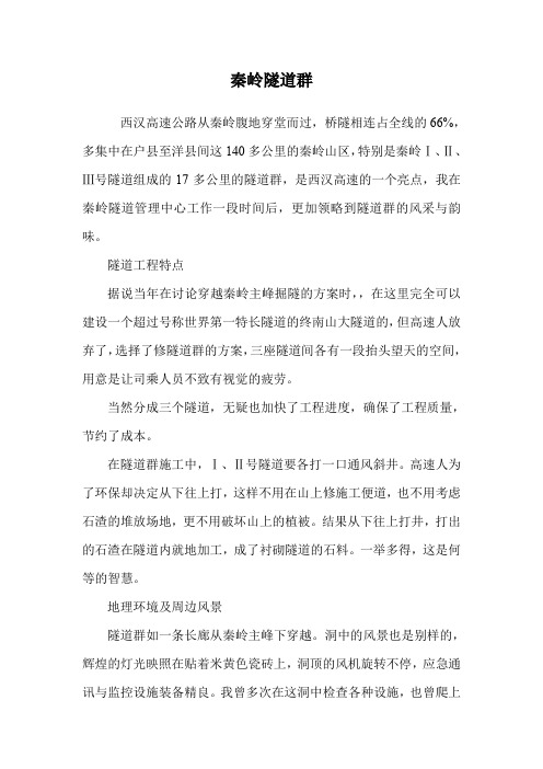 秦岭隧道群.doc