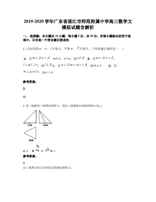 2019-2020学年广东省湛江市师范附属中学高三数学文模拟试题含解析