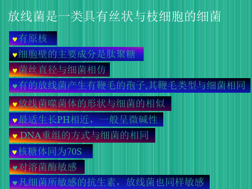 第二节放线菌蓝细菌