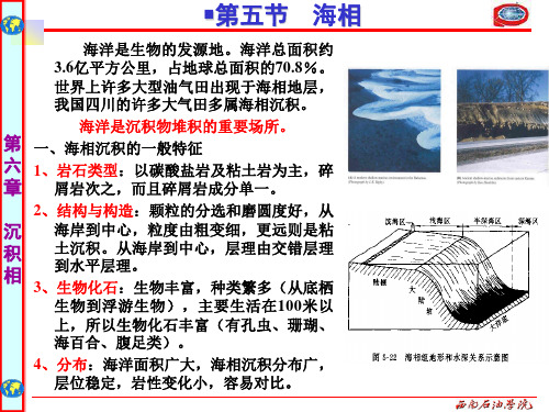 地质学基础6沉积相