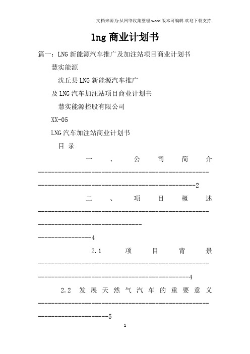 lng商业计划书