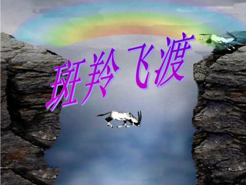 27斑羚飞渡2