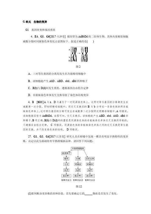 2017生物高考分类(2017高考真题+模拟新题)G单元  生物的变异