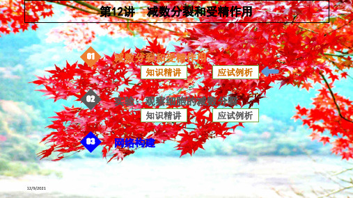 高考生物一轮复习第12讲减数分裂和受精作用课件高三全册生物课件