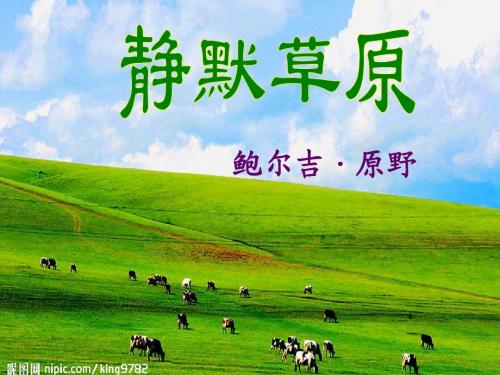 静默草原