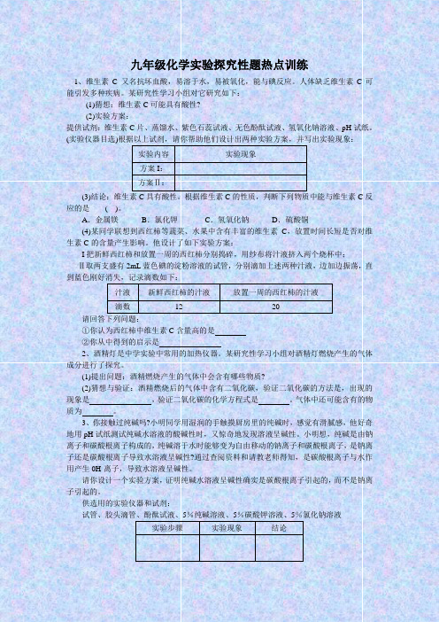 《九年级化学实验探究性题热点训练》