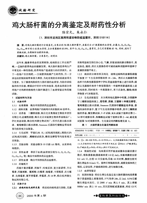 鸡大肠杆菌的分离鉴定及耐药性分析