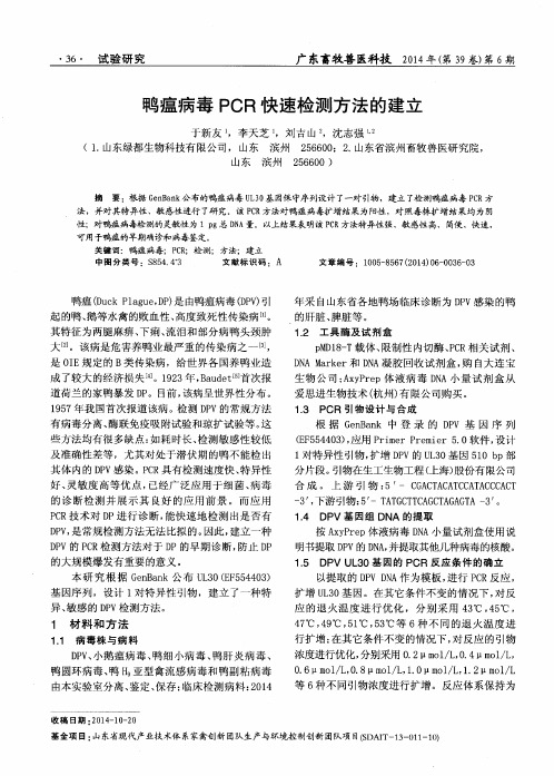 鸭瘟病毒PCR快速检测方法的建立