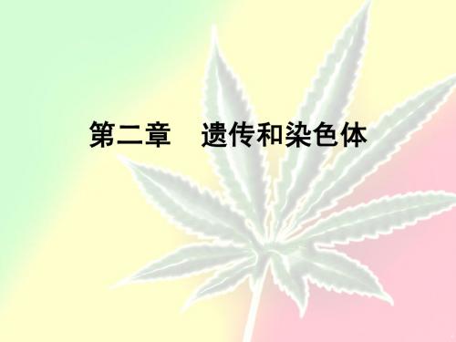 第三章  遗传和染色体