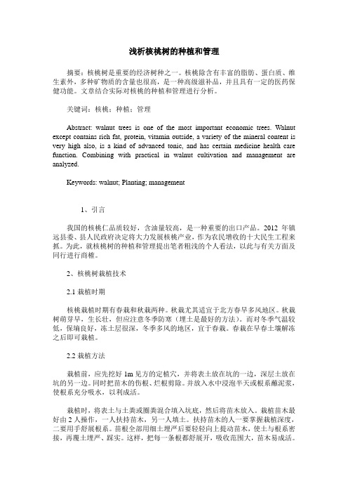 浅析核桃树的种植和管理