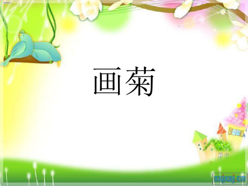 画菊.ppt