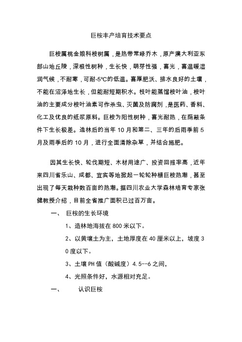 巨桉丰产培育技术要点