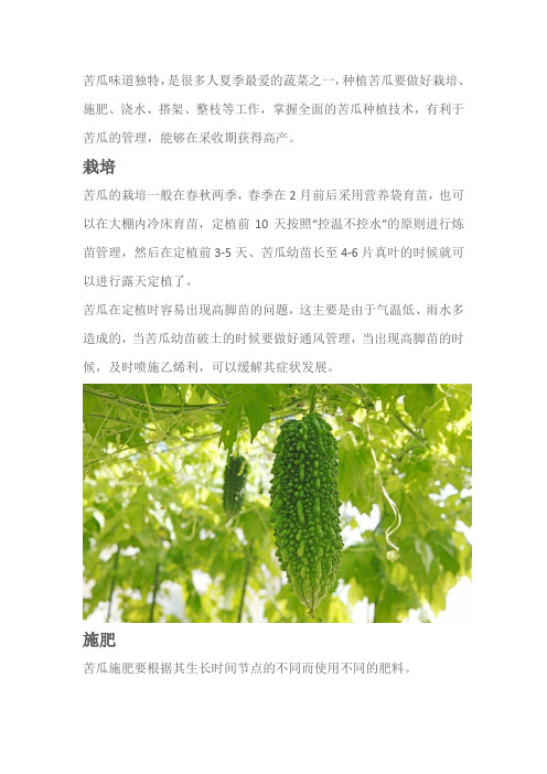 苦瓜如何施肥更高产