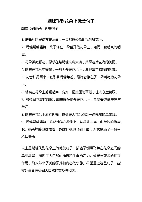 蝴蝶飞到花朵上优美句子