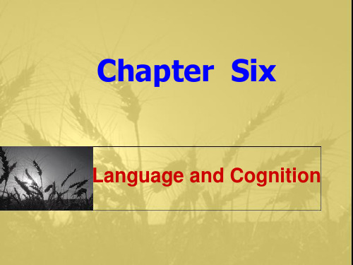 Chapter 6 语言学-Language and cognition