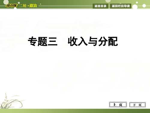 高考二轮复习之专题三 收入与分配人教