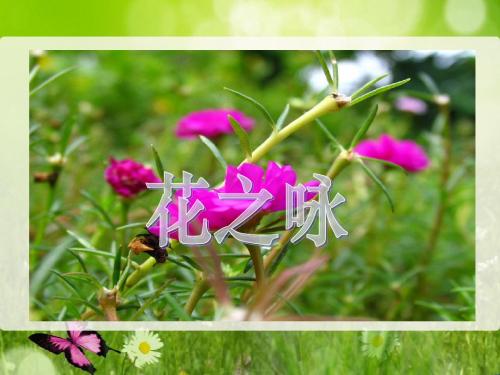 北师大版小学四下《花之咏》ppt课件