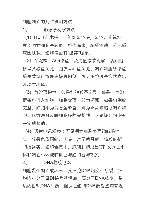 细胞凋亡的几种检测方法