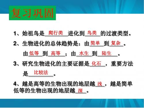 新人教版八年级生物下册    生物进化的原因
