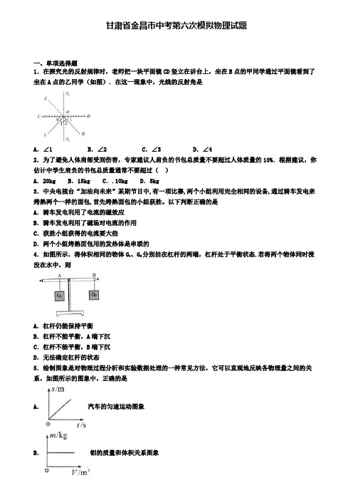 甘肃省金昌市中考第六次模拟物理试题