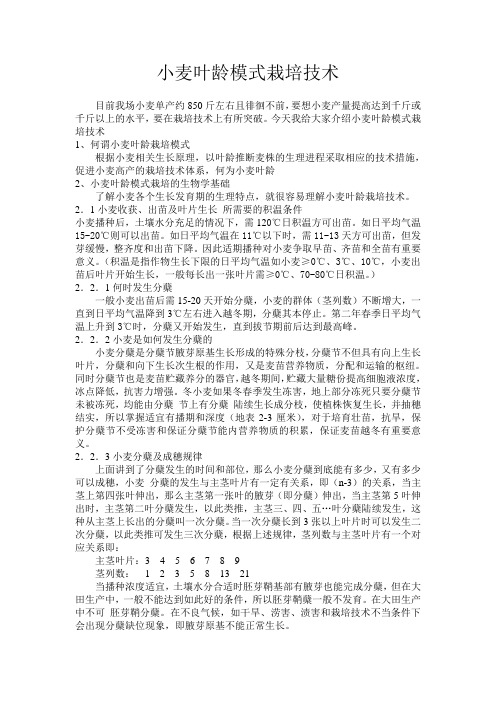 小麦叶龄模式栽培技术