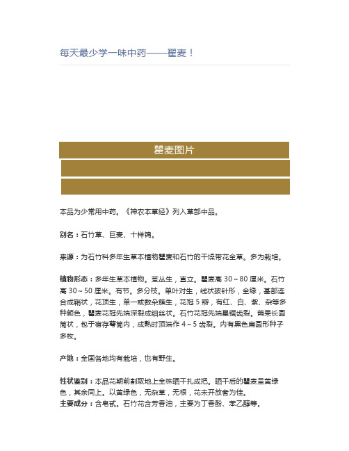 每天最少学一味中药——翟麦!