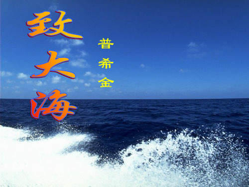高中语文必修2《致大海》课件5(29张)