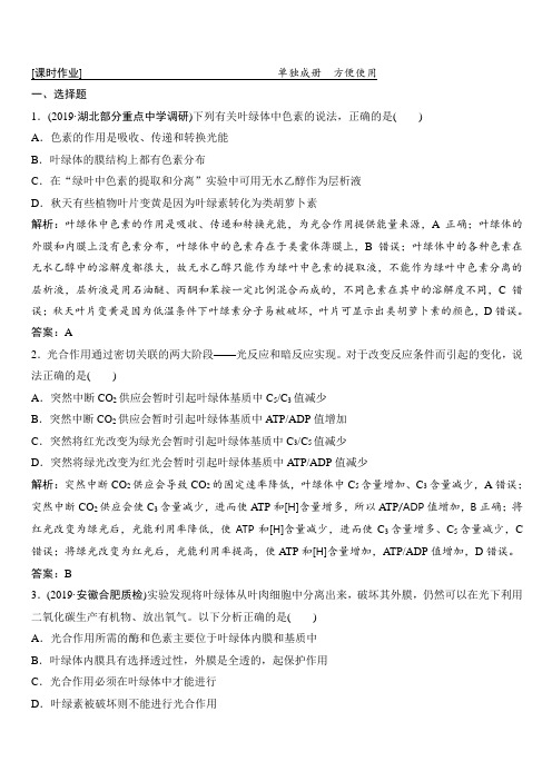 2020创新设计高考生物人教版优化探究大一轮复习练习：第三单元第3讲能量之源——光与光合作用含解析