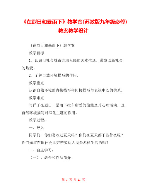 《在烈日和暴雨下》教学案(苏教版九年级必修) 教案教学设计 