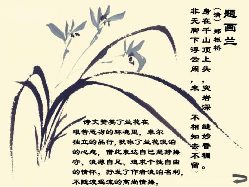 兰诗题画兰赏析清代郑板桥