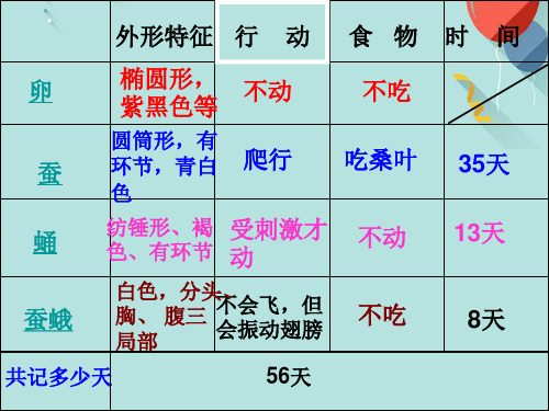 (优秀)教科版小学科学《蚕的生命周期》PPT资料