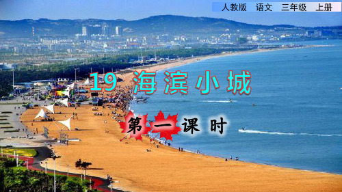 部编版三年级语文上册第六单元第19课《海滨小城》教学课件(最新完整版)