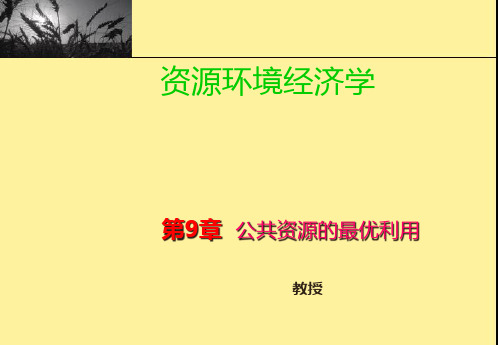 第九章公共资源的最优利用(资源环境经济学-中国地质大