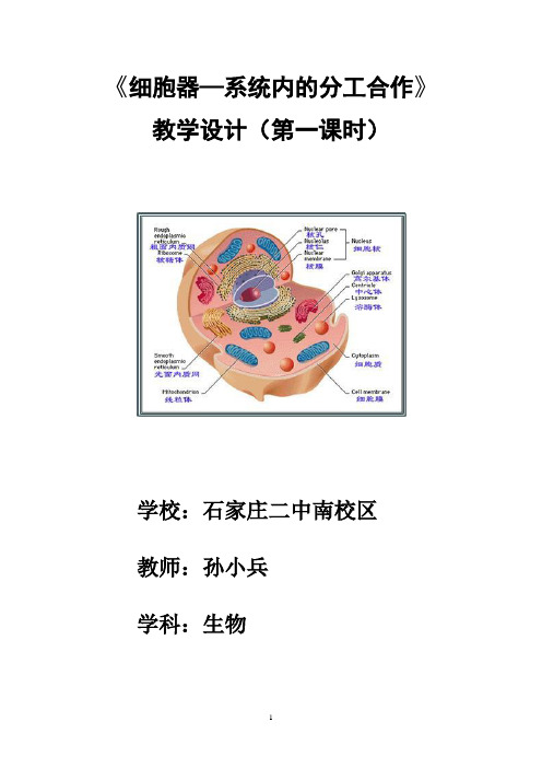 《细胞器-系统内的分工合作》教学设计