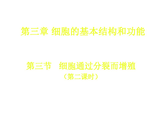 七年级生物细胞通过分裂而增殖-P