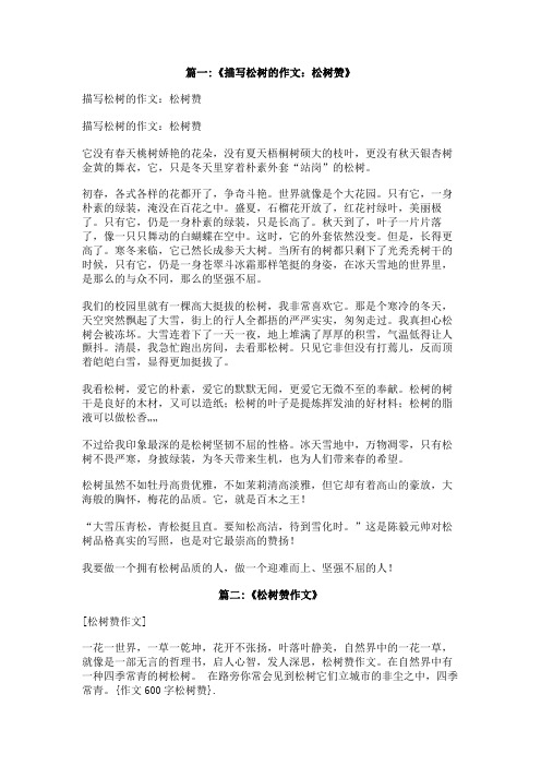 作文600字松树赞