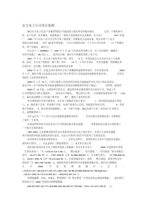 东方电子审计案例