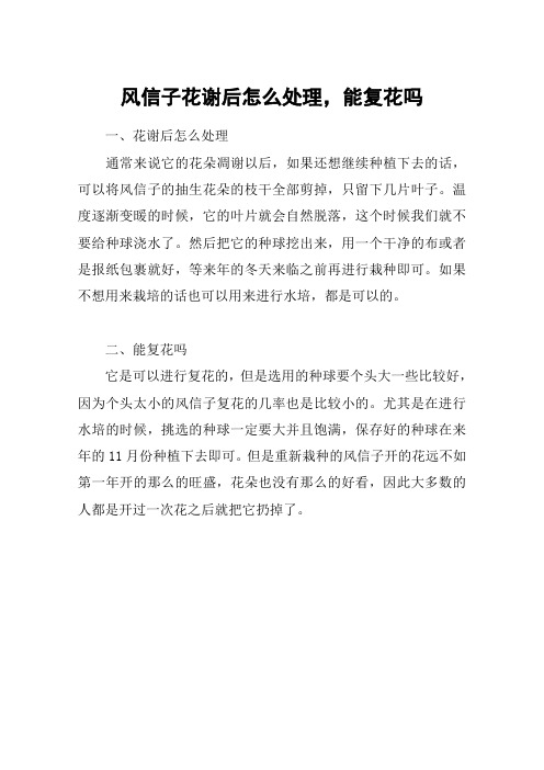 风信子花谢后怎么处理,能复花吗